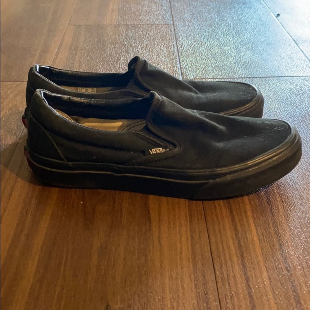 Vans Slip-On Skate Shoe